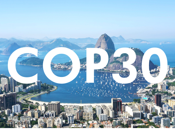 COP30 (1)