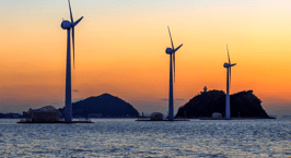 How Offshore Wind Development Can Support Coastal Regeneration: Global Overview and Best Practices for APAC region2024